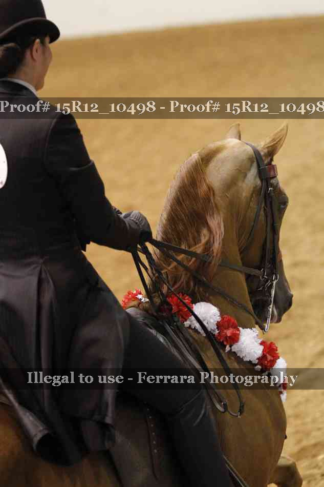 Proof 15R12_10498
