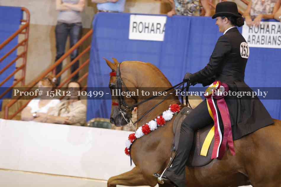 Proof 15R12_10499