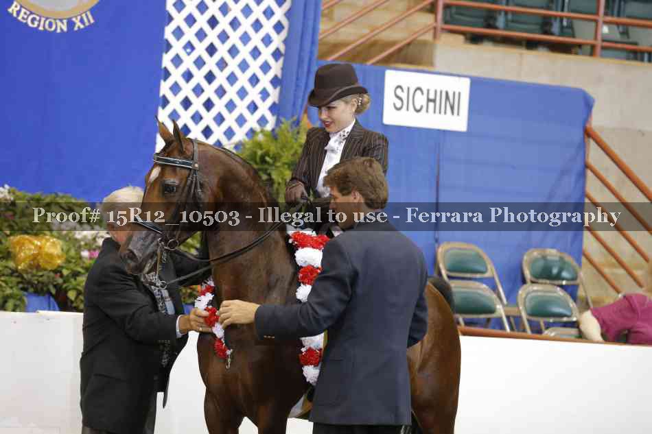 Proof 15R12_10503