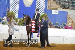 15R12_10506 proof