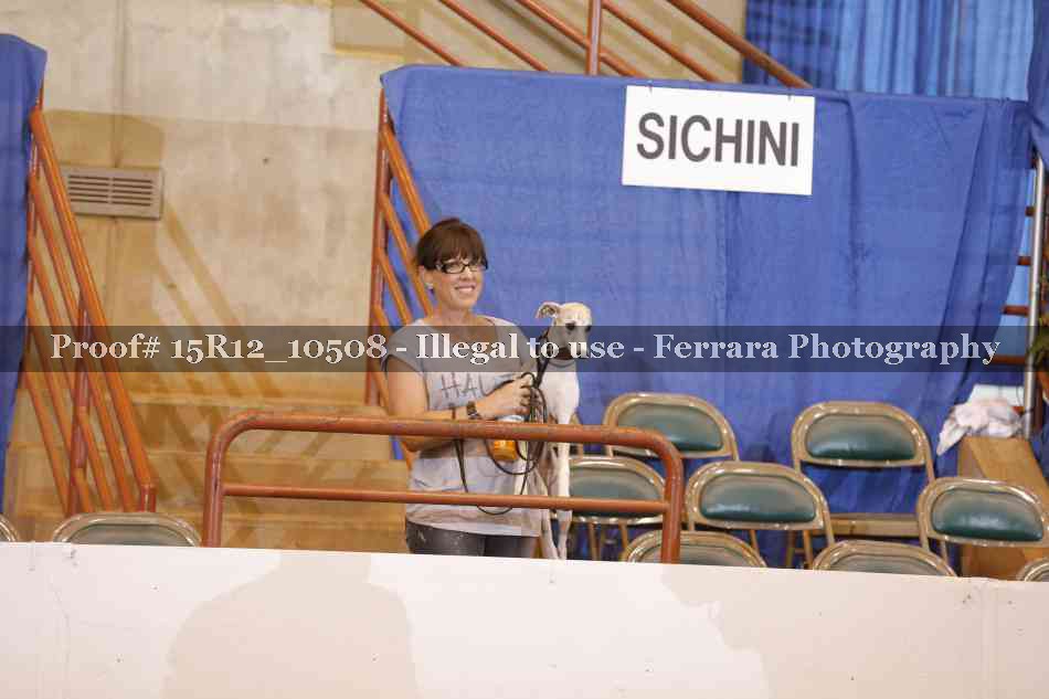 Proof 15R12_10508