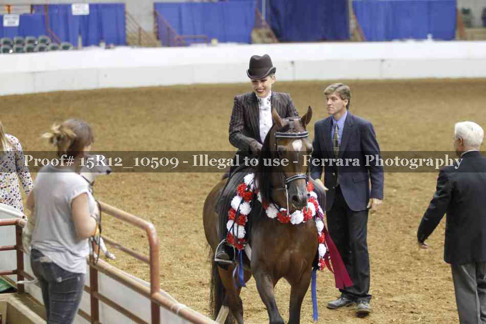 Proof 15R12_10509