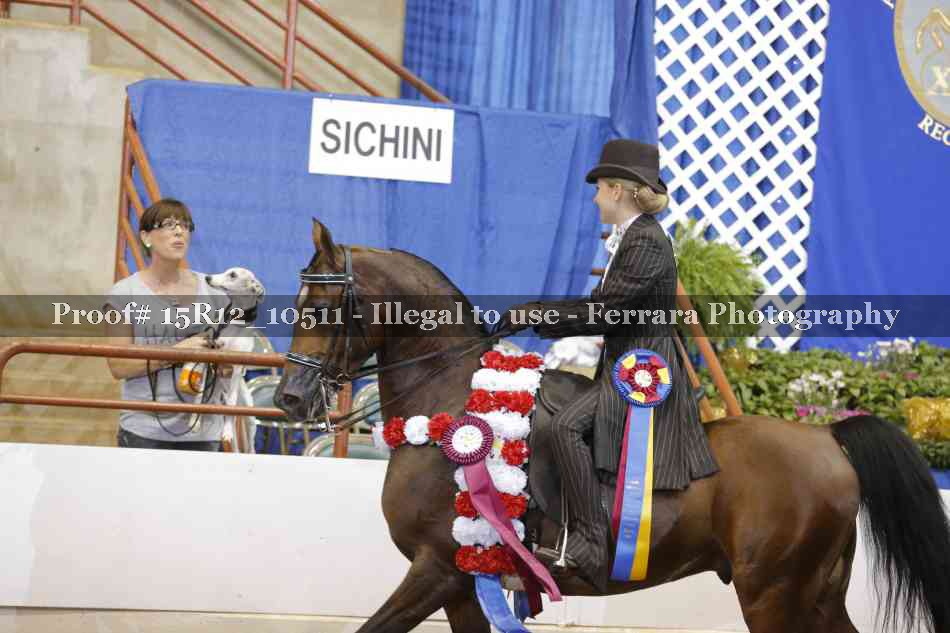Proof 15R12_10511