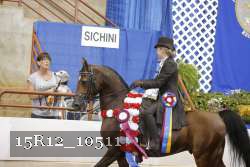 15R12_10511 proof