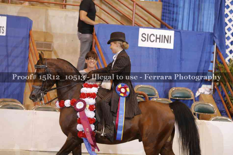 Proof 15R12_10513