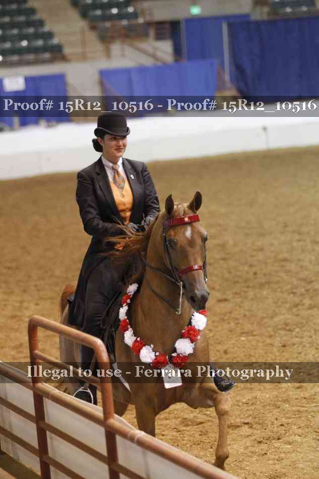 Proof 15R12_10516