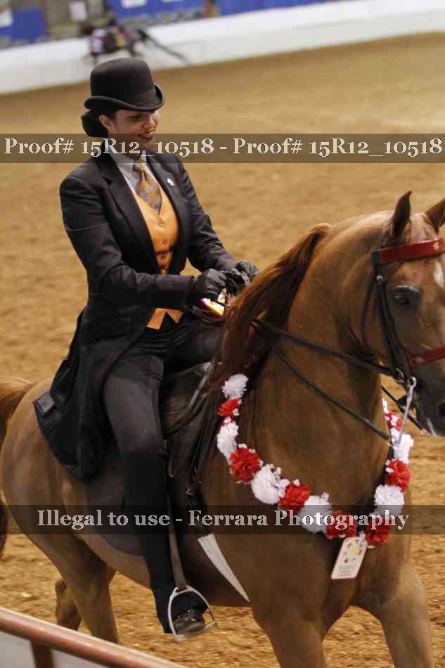 Proof 15R12_10518