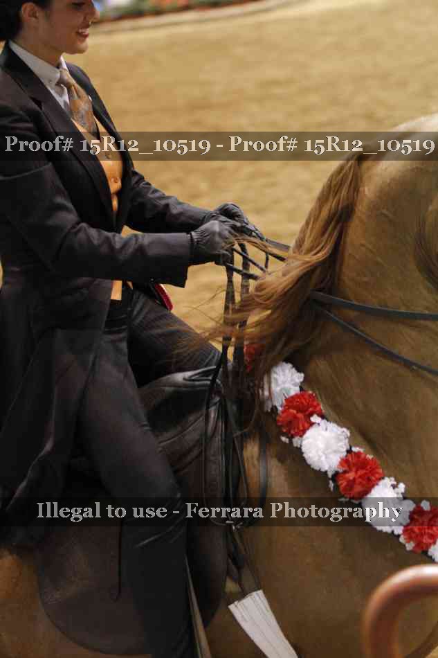 Proof 15R12_10519