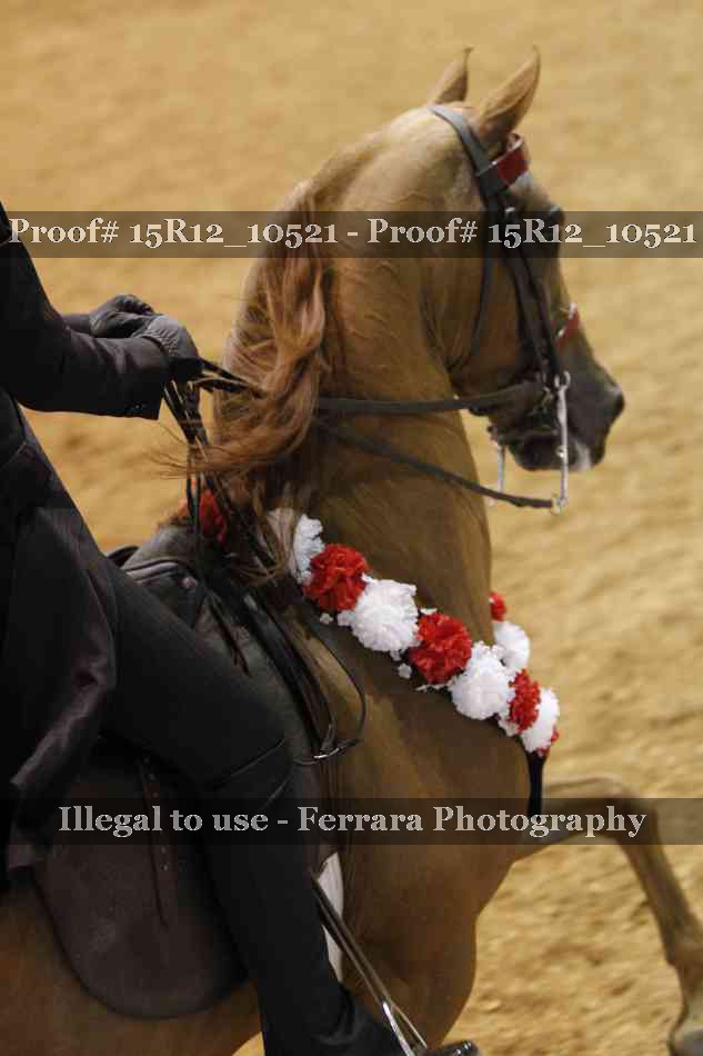 Proof 15R12_10521