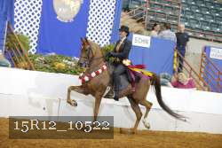 15R12_10522 proof