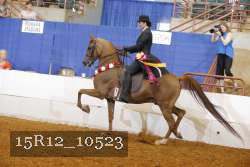 15R12_10523 proof