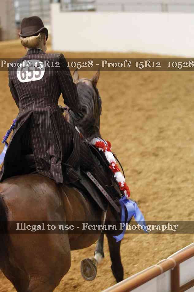 Proof 15R12_10528
