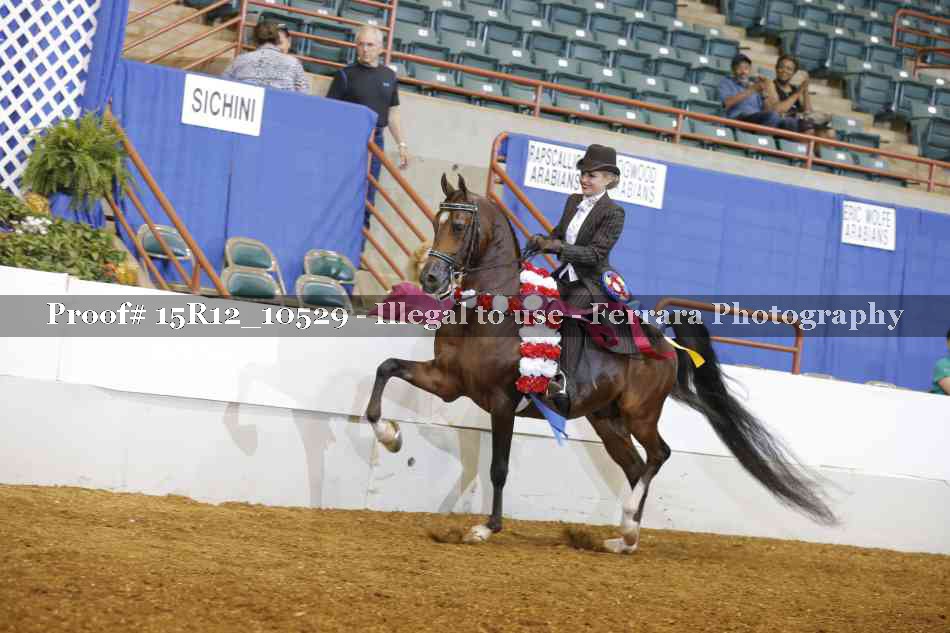 Proof 15R12_10529