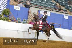 15R12_10529 proof