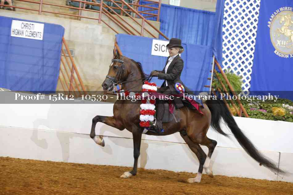 Proof 15R12_10530