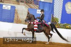 15R12_10530 proof