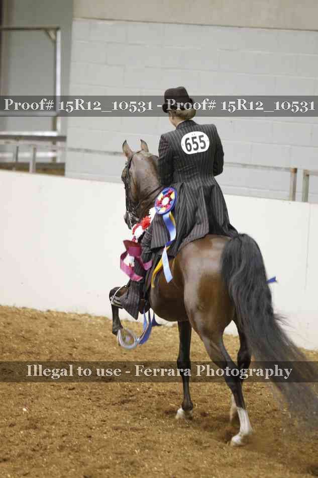 Proof 15R12_10531