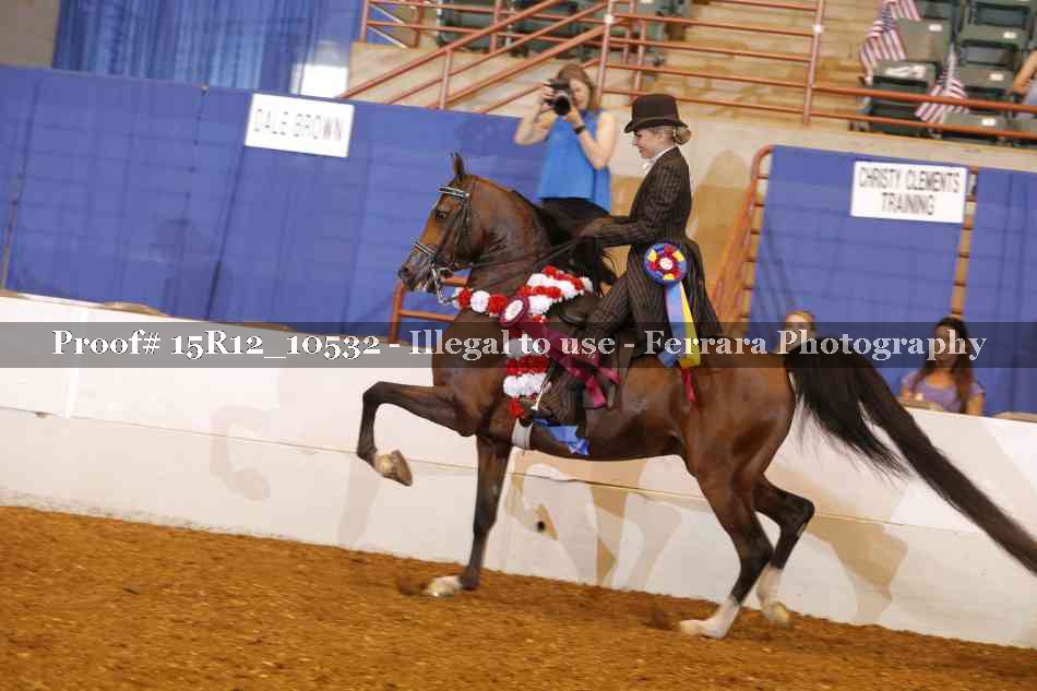 Proof 15R12_10532