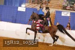 15R12_10532 proof