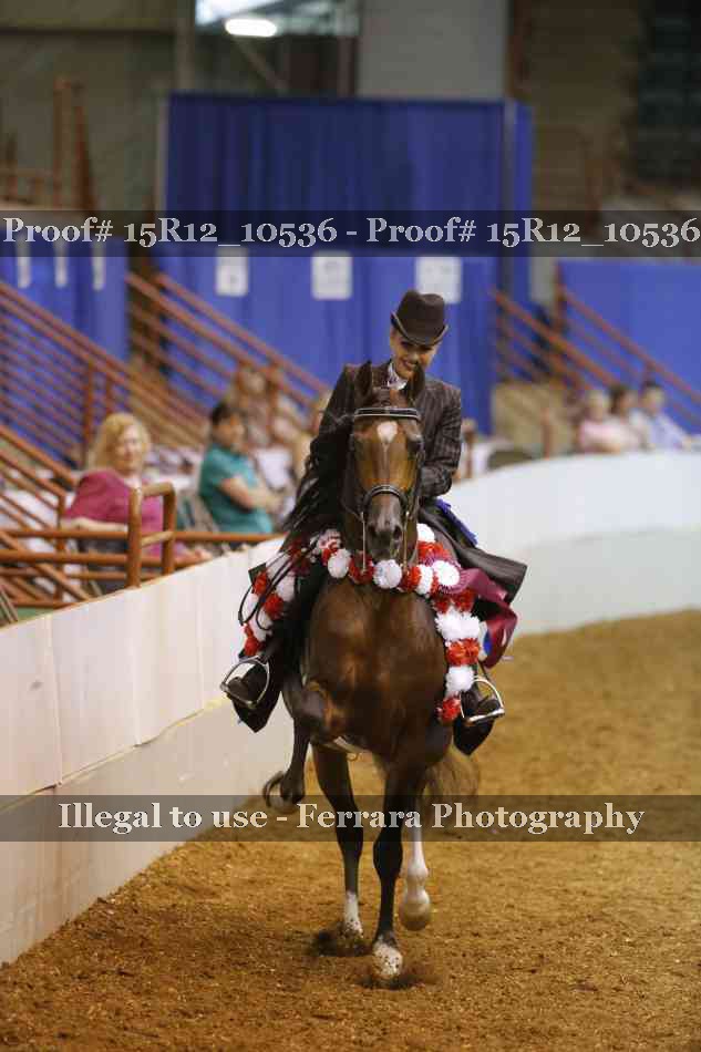 Proof 15R12_10536