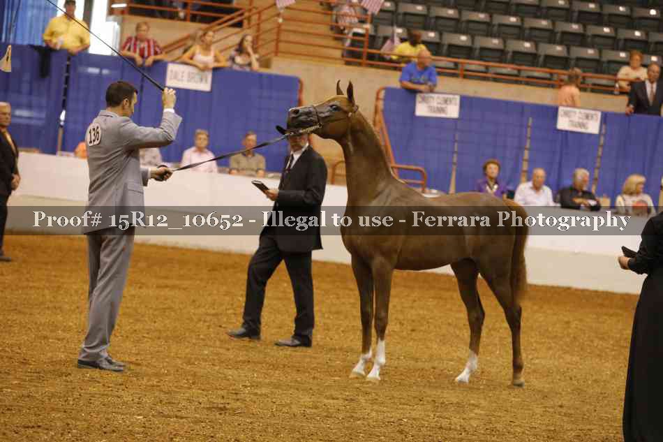 Proof 15R12_10652