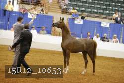 15R12_10653 proof