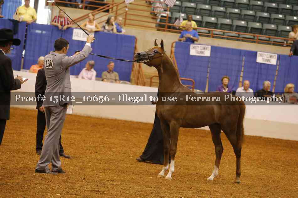 Proof 15R12_10656