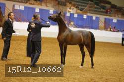 15R12_10662 proof