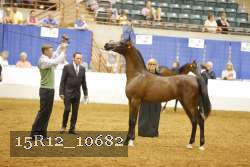 15R12_10682 proof