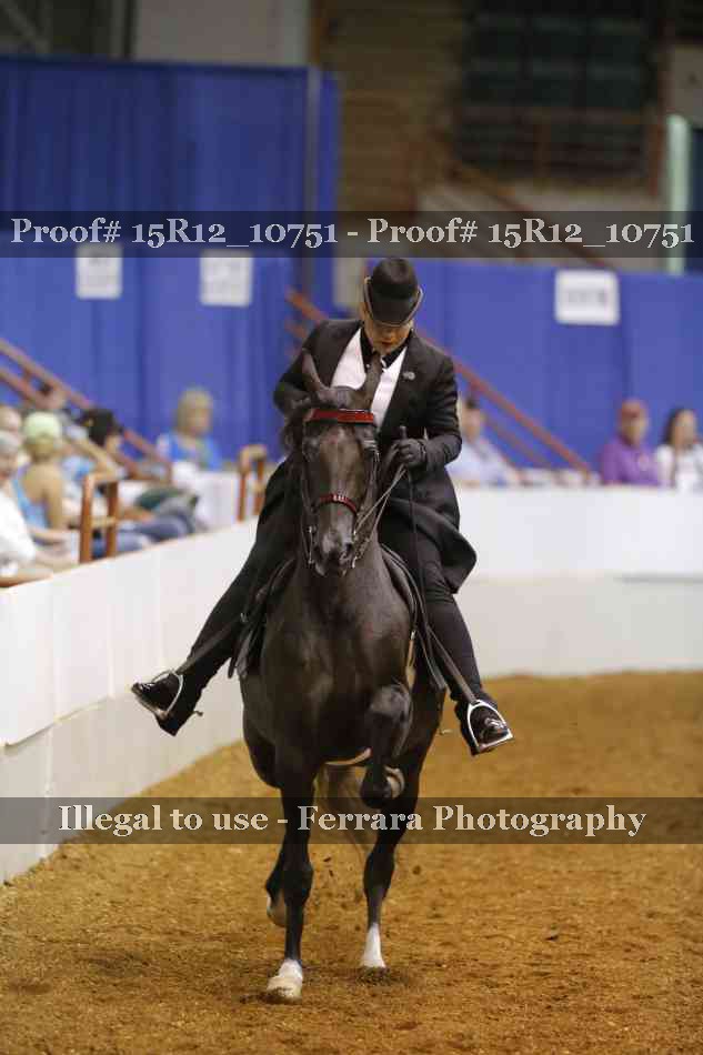 Proof 15R12_10751