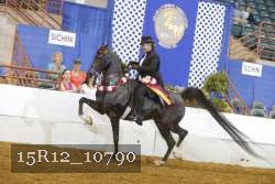 15R12_10790 proof