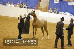 15R12_10853 proof