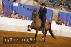 15R12_10982 proof