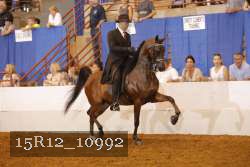 15R12_10992 proof
