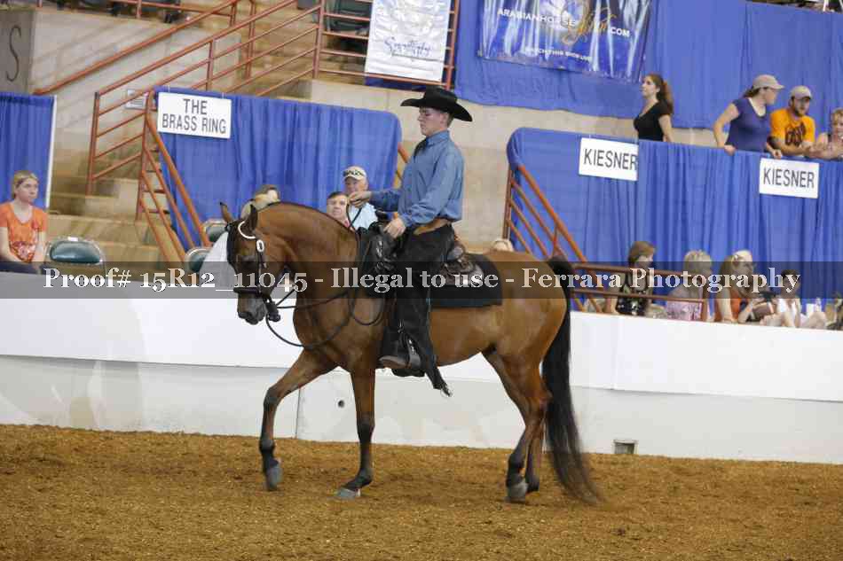 Proof 15R12_11045