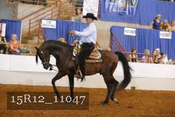 15R12_11047 proof