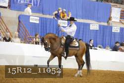 15R12_11052 proof