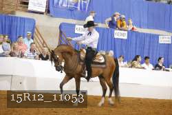 15R12_11053 proof