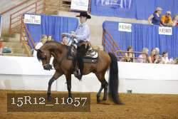 15R12_11057 proof