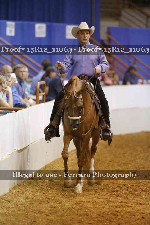 Proof 15R12_11063