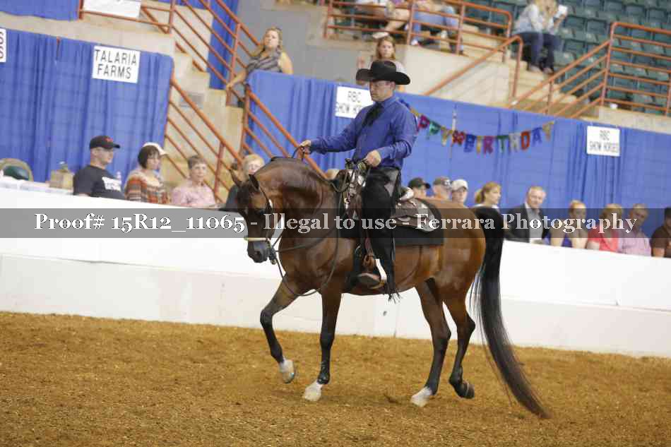 Proof 15R12_11065