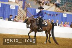 15R12_11065 proof