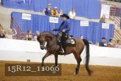 15R12_11066 proof