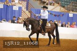 15R12_11068 proof