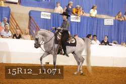 15R12_11071 proof