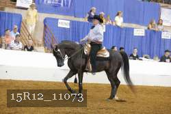 15R12_11073 proof