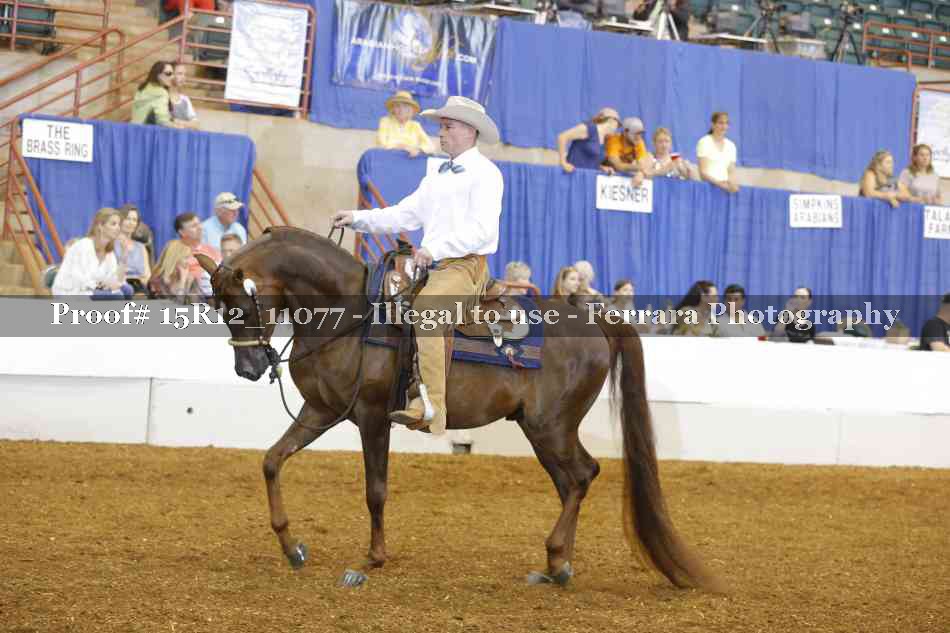 Proof 15R12_11077