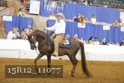 15R12_11077 proof