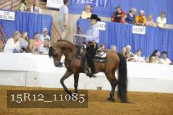 15R12_11085 proof