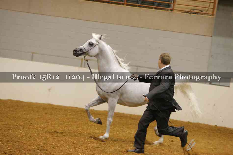 Proof 15R12_11204